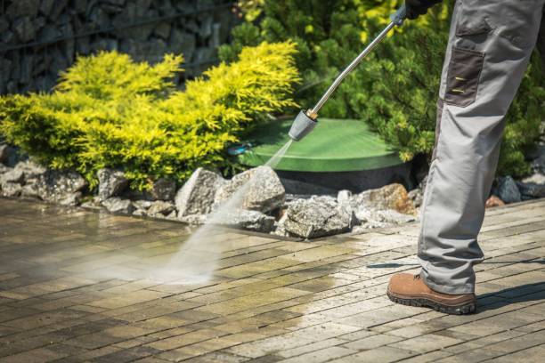 Best Roof Cleaning and Mildew Removal in West Hurley, NY